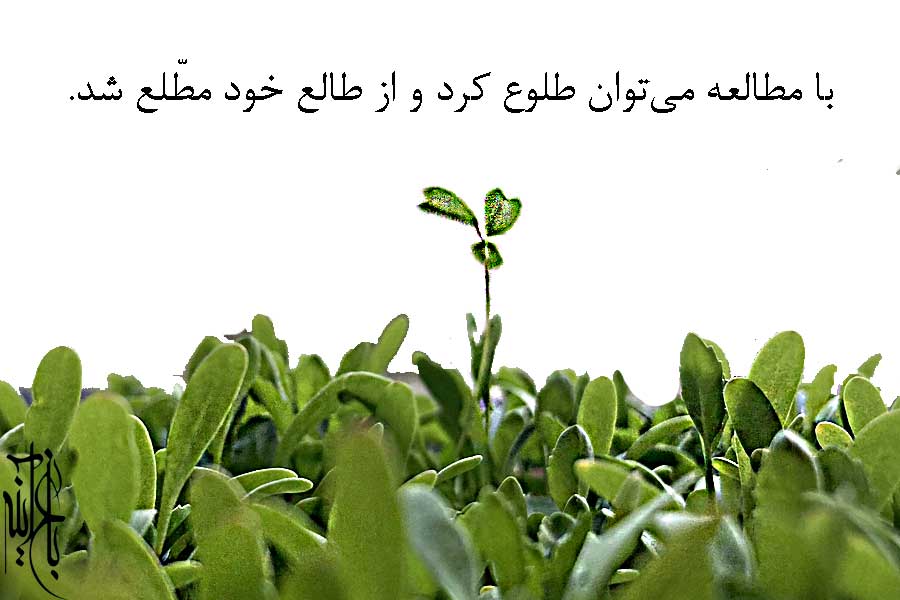 با مطالع میتوان طلوع کرد