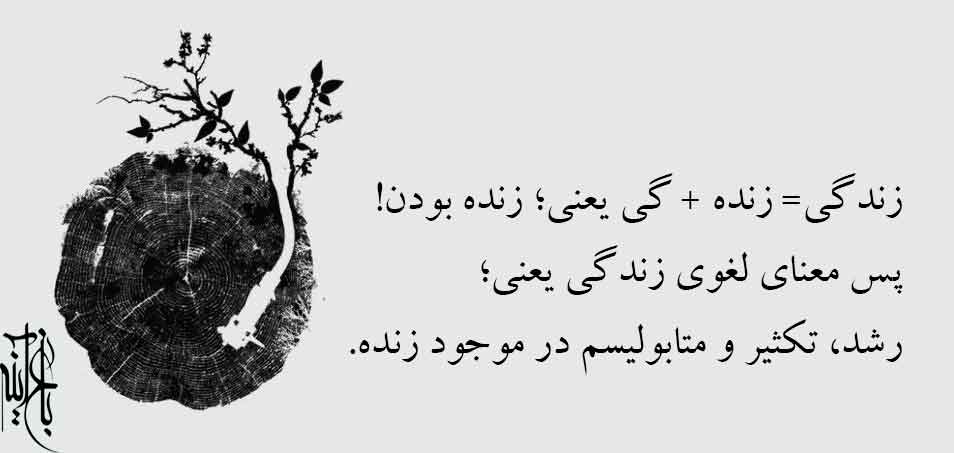 معنای واژه زندگی
